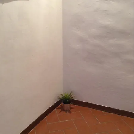 Vellutini Number One דירה *