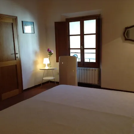 Vellutini Number One *