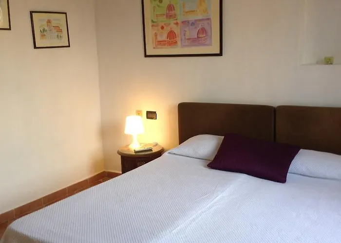 Vellutini Number One